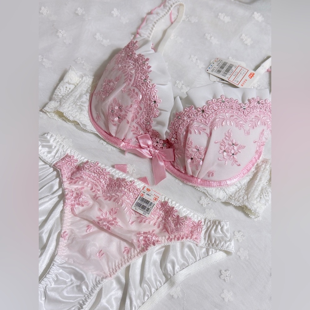 US-32C, 34B/JP-C75 Japanese Brand Aimerfeel Embroidery Bra & Panty Set Pink Cute